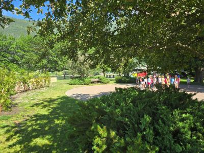 A group of chilcren gathered at the center of a labyrinth, surrounded by trees