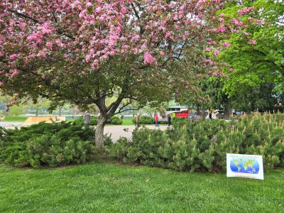 World Labyrinth Day 2025
