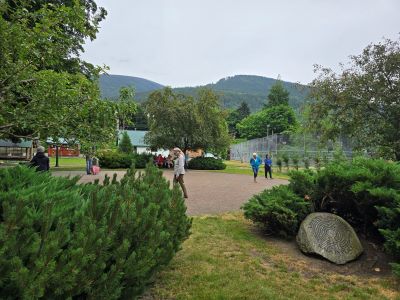 people walking a brick paver labyrinth surrounded by trees