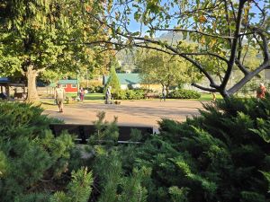 People walking a brick labyrinth, surrounded by trees and shrubs