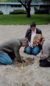 Construction Seeding 2004