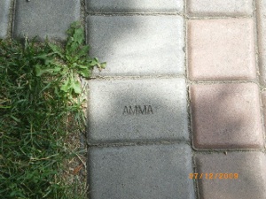 AMMA brick
