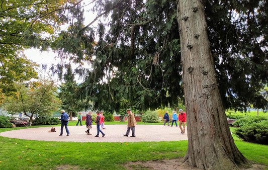 Photograph of a group of elderly people walking and socializing on a circular paved area in a park surrounded by green grass and tall trees. Large tree trunk in foreground and dense foliage in background highlight a peaceful outdoor setting for recreation and community interaction.