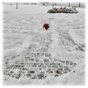 Brick path covered in snow